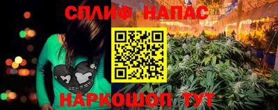 каннабис Кингисепп